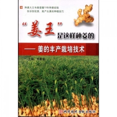 “姜王”是这样种姜的：姜的丰产栽培技术