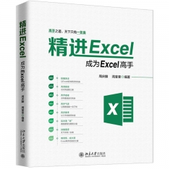 精进Excel:成为Excel高手