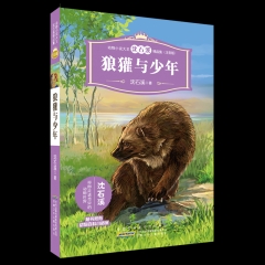 动物小说大王沈石溪精品集（注音版）·狼獾与少年