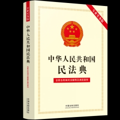中华人民共和国民法典（专业实务版）：含新总则编司法解释及典型案例