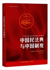 中国民法典与中国制度